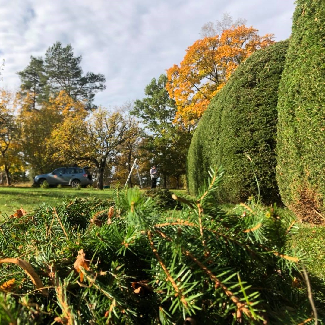 Trädgårdsarbeten Vingåker